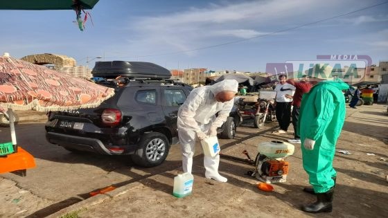 أكادير.. حملة ميدانية متواصلة للتعامل مع ظاهرة التشرد والكلاب الضالة