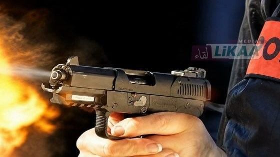 طنجة.. شرطي يطلق النار على كلب من فصيلة البيتبول بعد مهاجمته سيدة