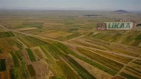 تكييف الفلاحة الإفريقية.. عشر سنوات من المبادرة المغربية وخارطة طريق إلى 2036