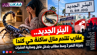 عقارب تقتحم منازل ساكنة حي كندا بالبئر الجديد.. شكايات من غياب حملات محاربة الحشرات وتدخل المجلس الجماعي