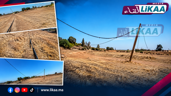 المهارزة الساحل دوار الحاج قاسم.. أسلاك كهربائية تثير مخاوف الساكنة وسط تساؤلات عن غياب الشركة الجهوية و المنتخبين