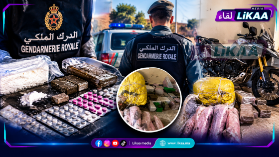 الوليدية.. حجز كميات من الكوكايين والشيرا وأقراص مهلوسة داخل منزل