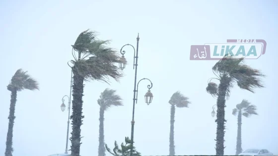 الأرصاد الجوية تحذر من زخات رعدية وهبات رياح بعدد من أقاليم المملكة