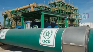 تراجع محدود في رقم معاملات الفوسفاط خلال النصف الأول من 2026