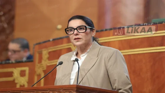 المنصوري تكشف ملامح برنامج الحكومة بالأرقام.. 390 مليار درهم للنفقات ومليون منصب شغل في الأفق