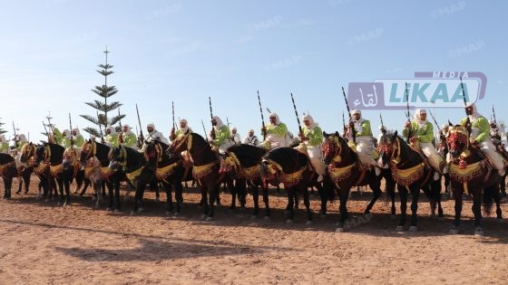 خلف كواليس سربة محمد أمين تلهوني بالجديدة.. عمل جماعي وتدريبات مكثفة قبل لحظة الحسم