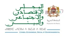 عمال الحراسة والنظافة في صلب نقاش المجلس الاقتصادي والاجتماعي.. توصيات مرتقبة لتحسين الأوضاع المهنية والاجتماعية