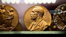 نوبل الطب 2026.. ثلاثة علماء يتقاسمون الجائزة عن اكتشافات فتحت آفاقاً جديدة لفهم الدماغ