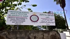 معاهد المكفوفين بالمغرب.. تعليم مجاني وتأهيل متخصص لفتح أبواب الاستقلال والإدماج
