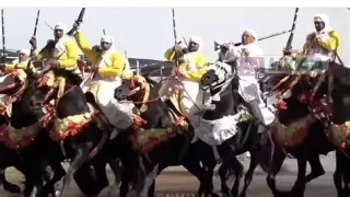 الجديدة.. شرف البحراوي يقود سُربته إلى صدارة اليوم الأول للجائزة الكبرى للتبوريدة